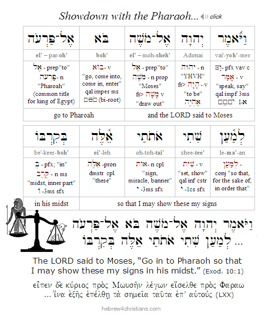 Exodus 10:1 Hebrew Lesson