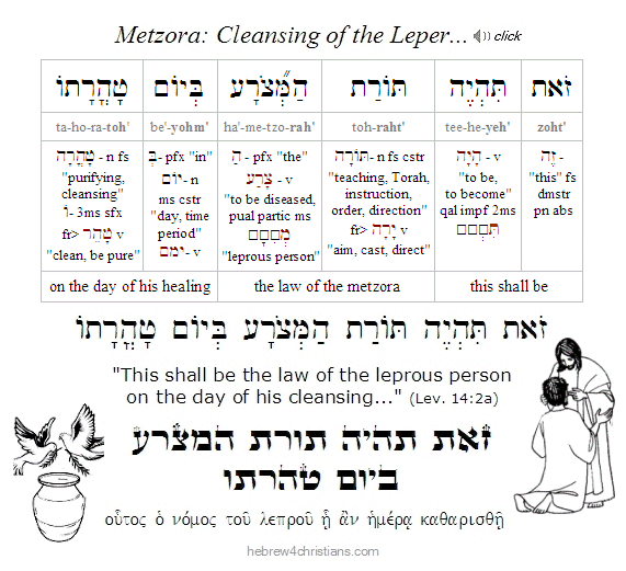 Lev. 14:2a Cleansing the Leper Hebrew