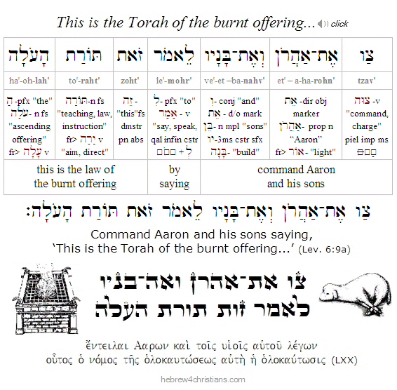 Leviticus 6:9a Hebrew Analysis