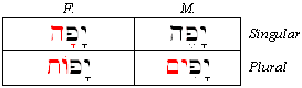 Morphology - Root ends in Hey