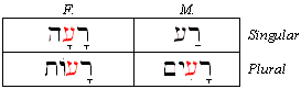 Morphology - Geminate Adjectives