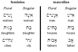 Irregular Plural Forms