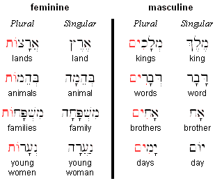 Regular Plural Forms