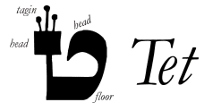 Image result for the letter tet hebrew4christians