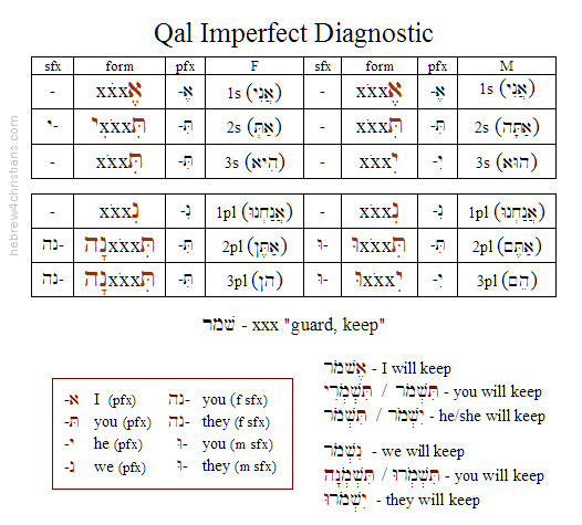 Hebrew Verb Conjugation Chart