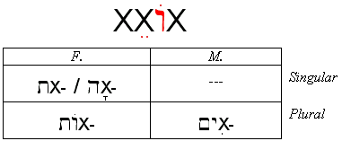 Qal Active Participle Endings