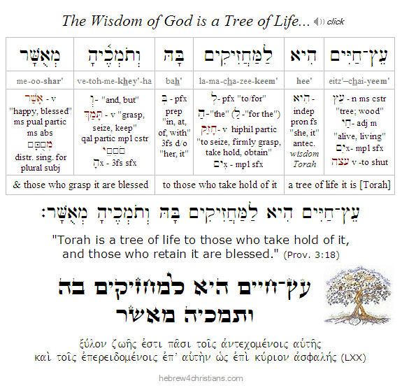 Proverbs 3:18 Hebrew Lesson