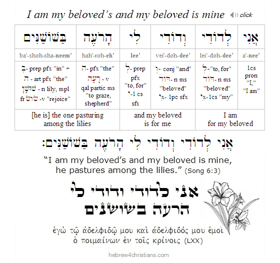 Song of Solomon 6:3 Hebrew Lesson