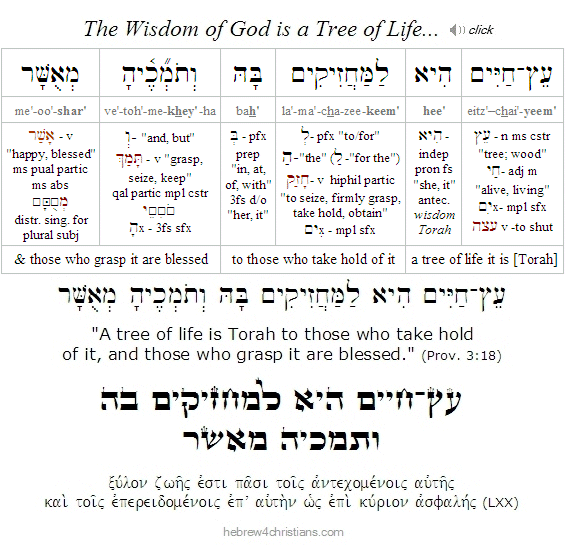 Proverbs 3:18 Hebrew lesson