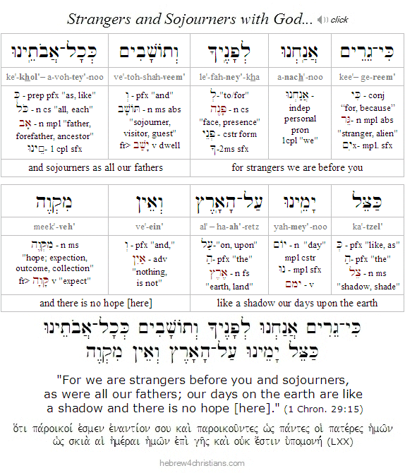 1 Chron. 29:15 Hebrew analysis