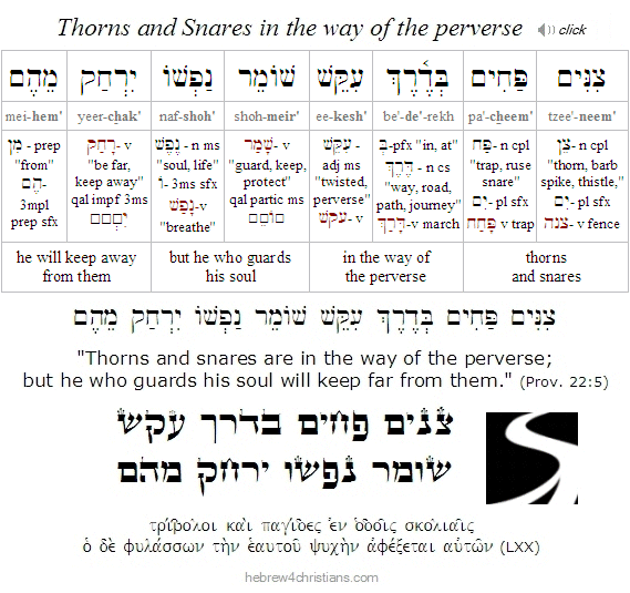 Proverbs 22:5 Hebrew for Christians