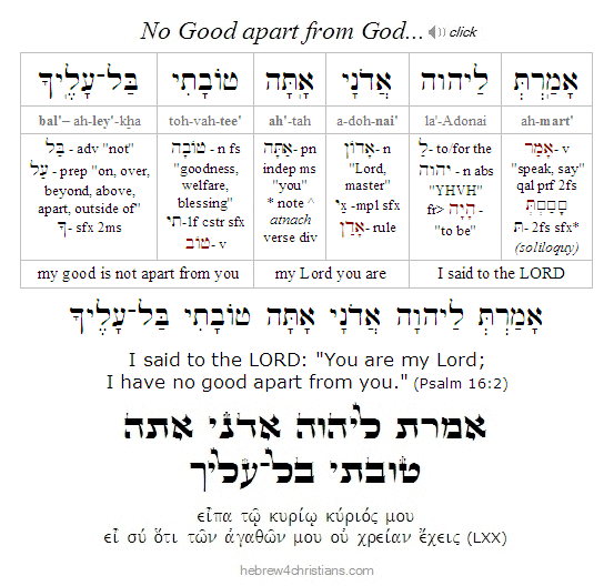 Psalm 16:2 Hebrew for Christians