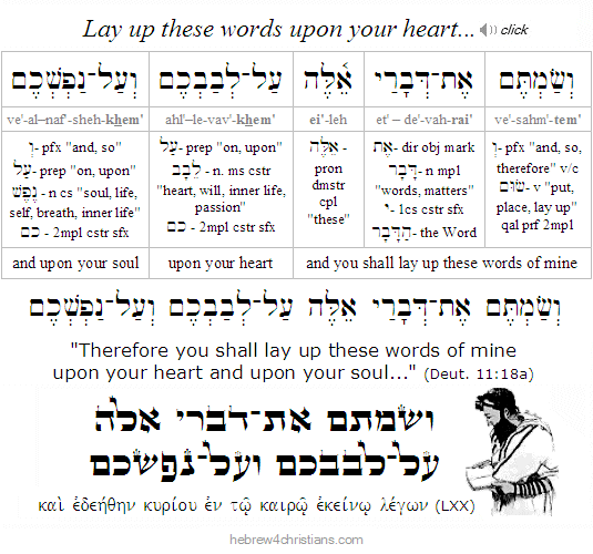 Deut. 10:18 Hebrew Lesson