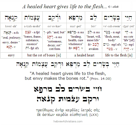 Proverbs 14:30 Hebrew Lesson