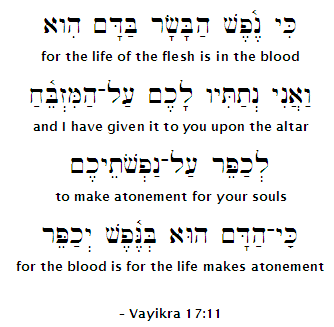 Lev. 17:11