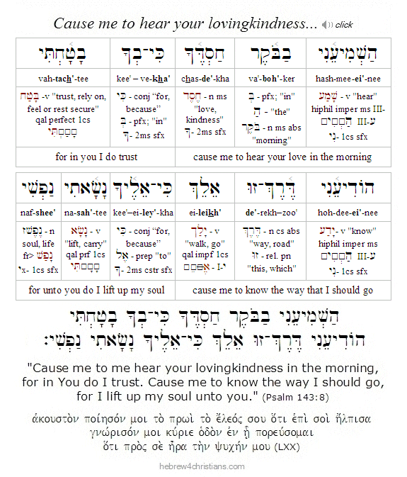 Psalm 143:8 Hebrew Lesson