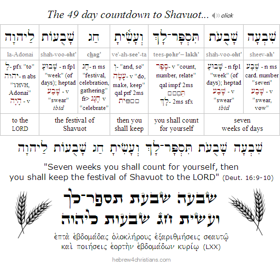 Deut. 16::9-10 Hebrew 