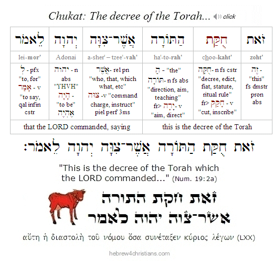 Numbers 19:2 Hebrew Analysis Chukat