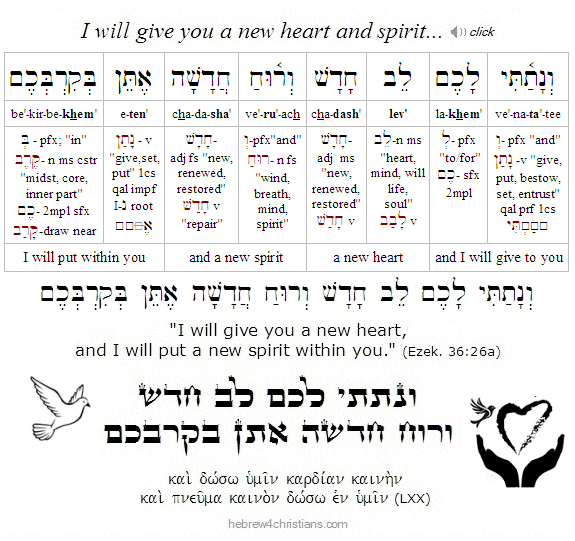 Ezek 36:26a Hebrew Lesson