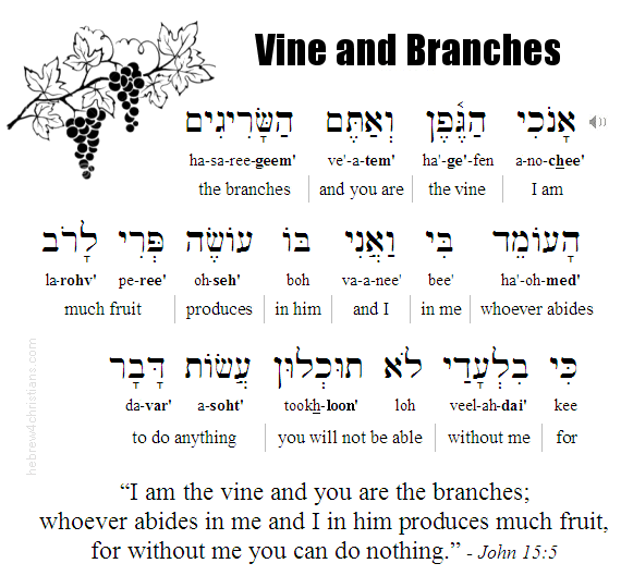 John 15:5 Hebrew