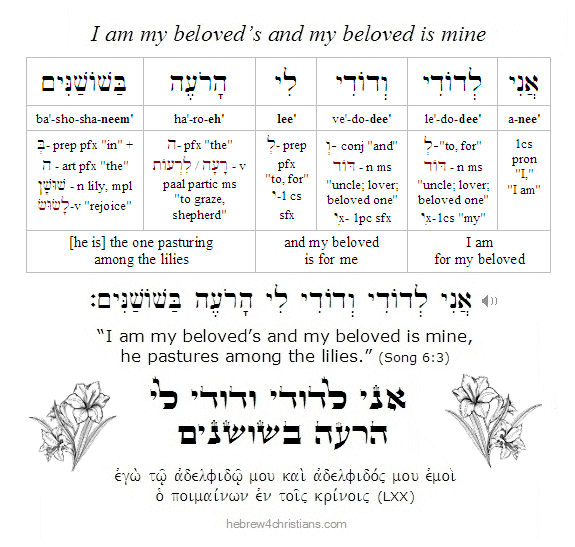Song 6:3 Hebrew lesson