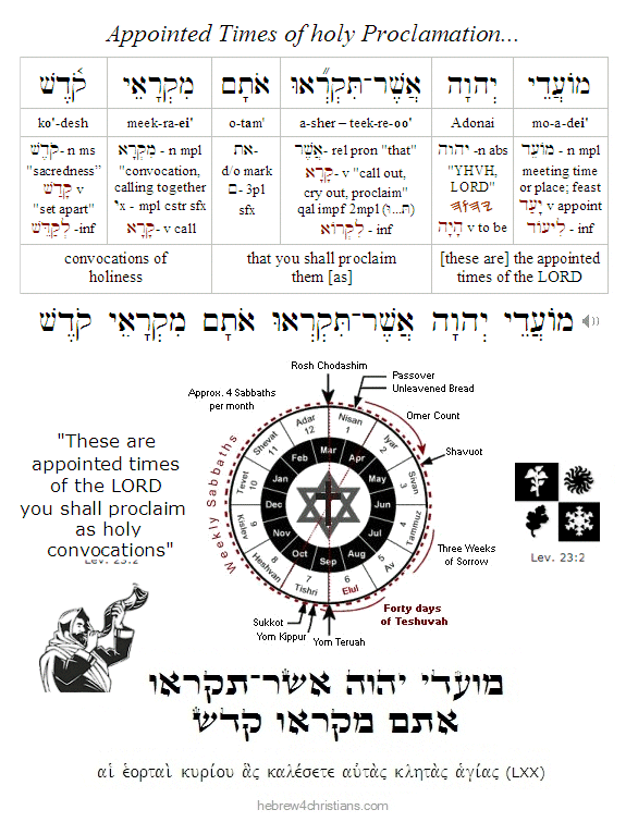 Leviticus 23:2b Hebrew Lesson